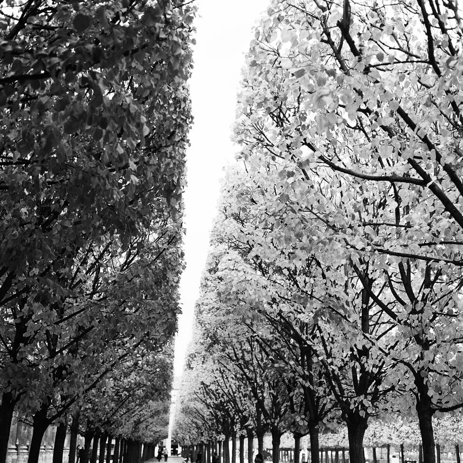 1106_12_10_flat.jpg