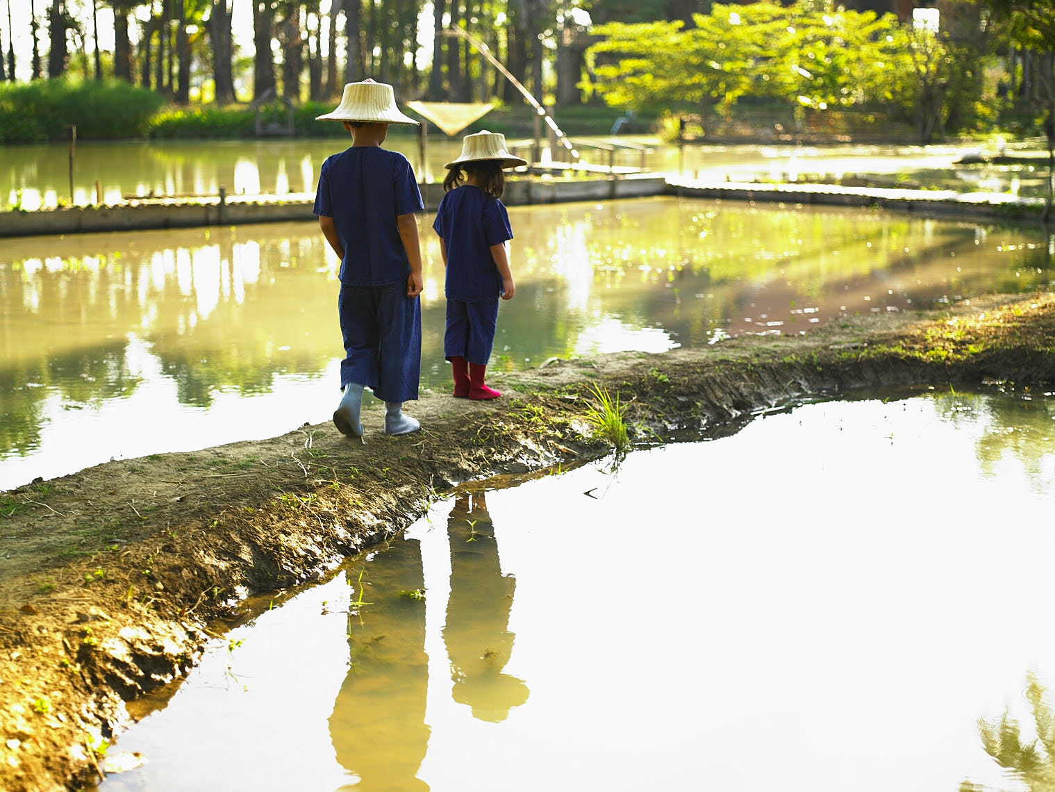 CK_RicePlanting_0029